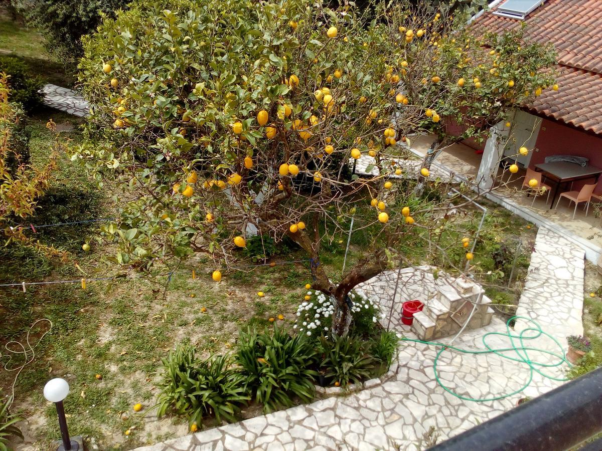 Astrakeri Maria'S Paradise מראה חיצוני תמונה