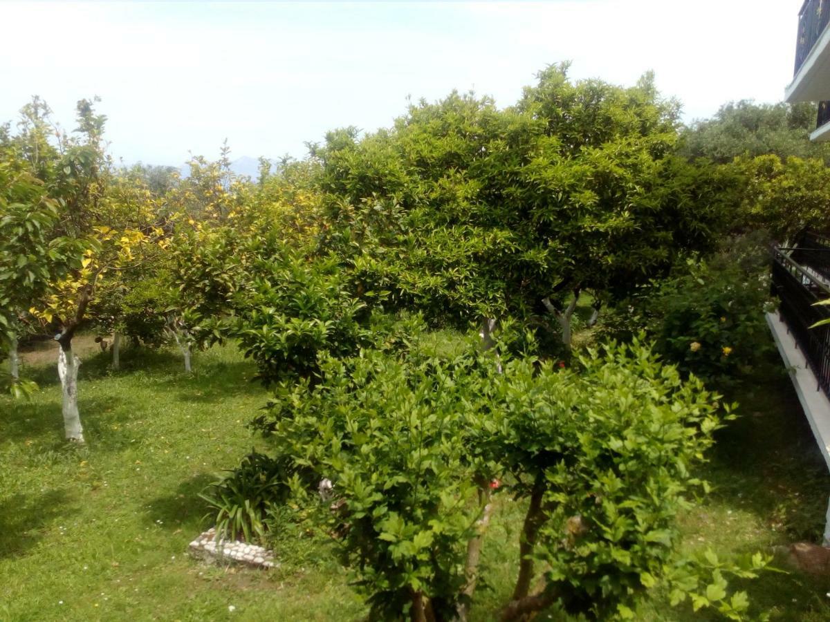 Astrakeri Maria'S Paradise מראה חיצוני תמונה