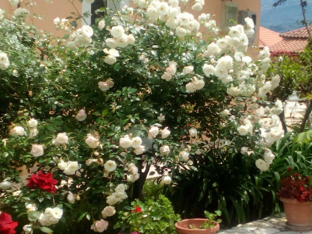 Astrakeri Maria'S Paradise מראה חיצוני תמונה