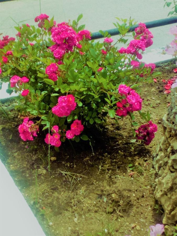 Astrakeri Maria'S Paradise מראה חיצוני תמונה